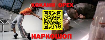 тгк Новодвинск