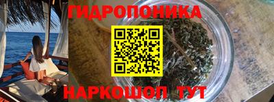 тгк Новодвинск