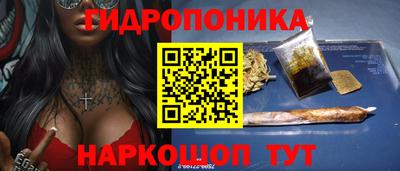 тгк Новодвинск