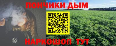 тгк Новодвинск